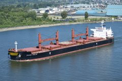 Thumbnail Image for Golden Cecilie