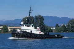 Thumbnail Image for Hunter