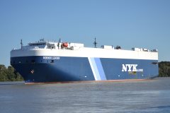 Thumbnail Image for Dorado Leader oncontextmenu=