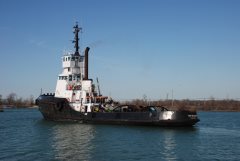 Thumbnail Image for Tony MacKay