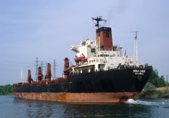 Thumbnail Image for Mina Cebi oncontextmenu=