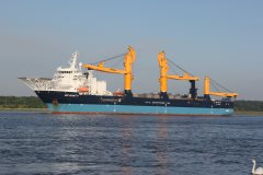 Thumbnail Image for OIG Giant II oncontextmenu=