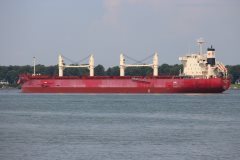 Thumbnail Image for Federal Cardinal oncontextmenu=