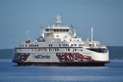 Thumbnail Image for Salish Eagle oncontextmenu=