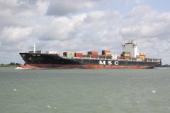 Thumbnail Image for MSC Kim oncontextmenu=