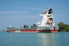 Thumbnail Image for Michiganborg oncontextmenu=