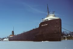 Thumbnail Image for Merle M. McCurdy