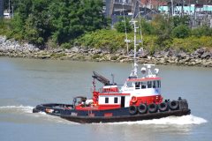 Thumbnail Image for Hecate Prince oncontextmenu=