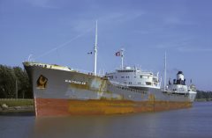 Thumbnail Image for Dimitrios D.M. oncontextmenu=