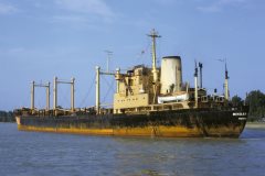 Thumbnail Image for Minoan Star oncontextmenu=