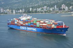 Thumbnail Image for Xin Fu Zhou