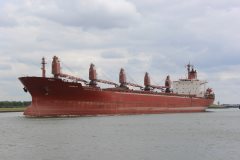 Thumbnail Image for Radonezh