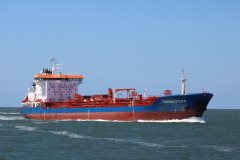 Thumbnail Image for Rhonestern