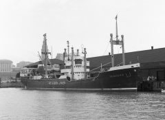 Thumbnail Image for Transerie oncontextmenu=