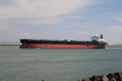 Thumbnail Image for Ridgebury Pride