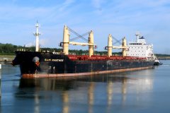 Thumbnail Image for Sam Panther