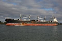 Thumbnail Image for Scarabé oncontextmenu=