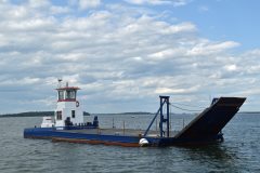 Thumbnail Image for Dovkie