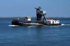 Thumbnail Image for Scaldis