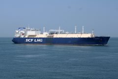 Thumbnail Image for SCF Melampus