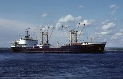 Thumbnail Image for Kingdoc oncontextmenu=