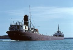 Thumbnail Image for Merle M. McCurdy