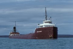 Thumbnail Image for Merle M. McCurdy