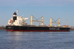 Thumbnail Image for Amis Champion oncontextmenu=