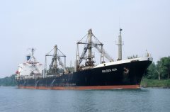 Thumbnail Image for Golden Sun