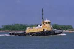 Thumbnail Image for Claxton