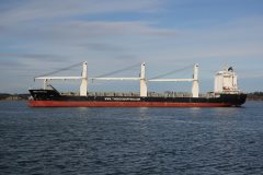 Thumbnail Image for Thorco Raffles