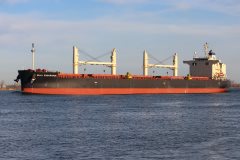 Thumbnail Image for Bulk Endurance