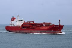 Thumbnail Image for Stella Kosan