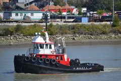 Thumbnail Image for Gemini Warrior