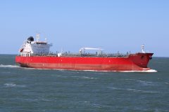 Thumbnail Image for STI Beryl