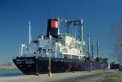 Thumbnail Image for Gur Maiden oncontextmenu=