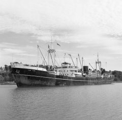 Thumbnail Image for Van Yung oncontextmenu=