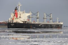 Thumbnail Image for Scarabé oncontextmenu=