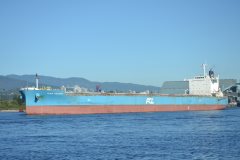 Thumbnail Image for Ikan Kerapu oncontextmenu=