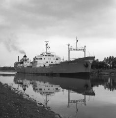 Thumbnail Image for Atlantic Lady style=