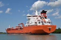 Thumbnail Image for Algoterra oncontextmenu=