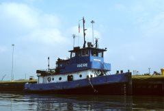 Thumbnail Image for Muskegon oncontextmenu=