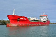 Thumbnail Image for Barbarica oncontextmenu=