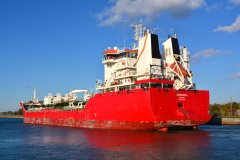 Thumbnail Image for Barbarica oncontextmenu=