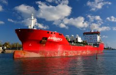 Thumbnail Image for Barbarica oncontextmenu=