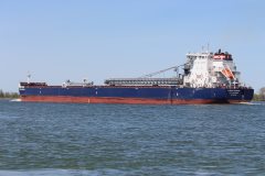 Thumbnail Image for Algoma Niagara oncontextmenu=