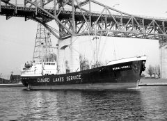 Thumbnail Image for Berni Nubel oncontextmenu=