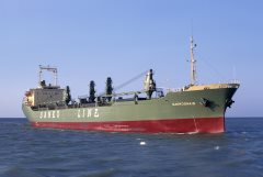 Thumbnail Image for Sankograin