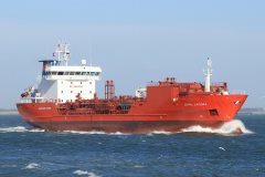 Thumbnail Image for Coral Lacera