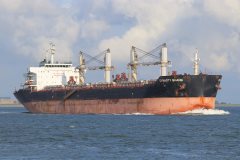 Thumbnail Image for Dynasty Shang